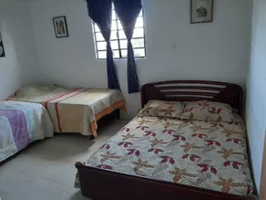 Traditional peasant house - Image 3