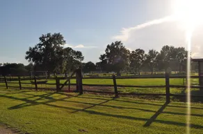 Farm Charm    Enjoy the Great Scenery - Image 2