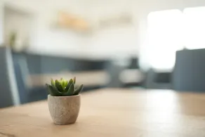 Luxury apartments to feel good in - Image 3