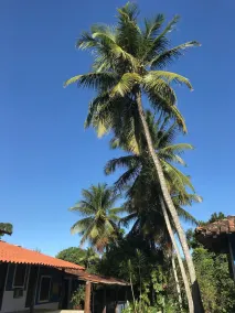 Céu Azul pousada - Image 3