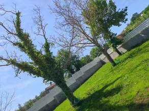Detached villa with swimming pool and sauna - Image 3