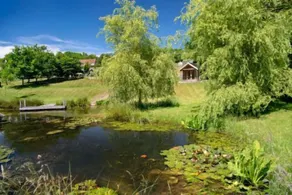 Nature and Breath taking views over 55 acres ❤️ - Image 4