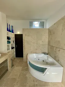 Double-gîte with jacuzzi, swimming pool and balneotherapy. - Image 2