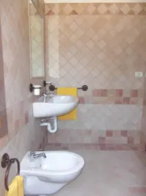 Abruzzo. Casa rural cercada por oliveiras perto do lago - Image 2