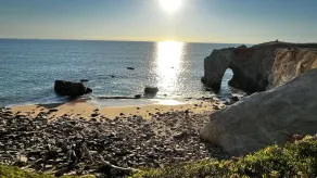 Quiberon - 3 rooms house - 55m² - swimming pool - Image 5