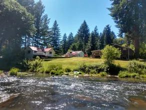 Vintage River Cabin on the Siuslaw River - Image 4
