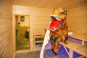 Casino Whirlpool-Sauna-Kino-Indoor Basketball - Image 4