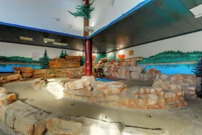 Indulge in Columbia's Rustic-Charm Suites with Heated Pools & Bar - Image 3