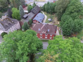 Tinyhouse under the trees - Image 4