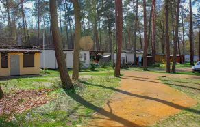 Ferienhaus Ueckermünde Bellin - Image 4