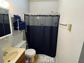 Vibrant 2 Bed Located Downtown/ Closing to Soaring Eagle/CMU - Image 3