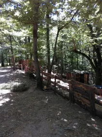 Roulotte le Bleuet, in a natural setting close to hiking trails - Image 5