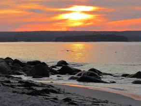 Romantic, oceanfront, renovated luxury cottage at a beach and near Halifax - Image 4