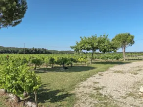 Holiday Home La Cardeline by Interhome - Image 5