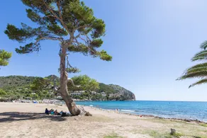 ORO DEL MAR IV Apartamento O2 - Apartment near the beach and with shared pool Free WiFi - Image 4