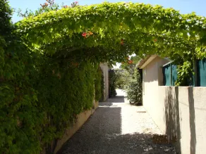House / Villa - Saint-Rémy de Provence - Image 4