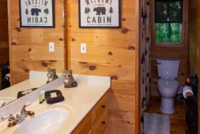 Spacious & Private Cabin with gorgeous views, Hot tub, Dog-friendly! - Image 2