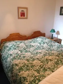 Luxury apartment in chalet on 3 vallees slopes - Image 4