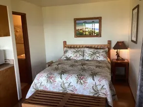 Studio Kohala Big Island Ocean Views - Image 2