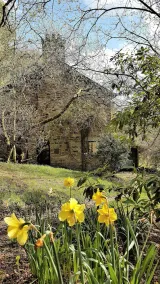 Special cottage for 2-4 in secluded nature reserve in Exmoor National Park. - Image 5