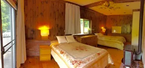 Charmant chalet avec accès privé et glissade sur le lac George - Image 4