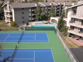 Luxury Condo w/ FREE WiFi, Parking, Heated Pool, Hot Tubs, Skier Shuttles - Image 3