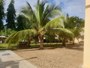 Fully furnished one bedroom apartments in Diani Beach Road and near carefour mrt - Image 2