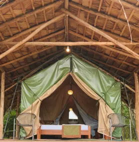 Forest Lodge Eco Camp  - Image 4