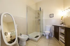Dublin Vacation Rentals - Image 2
