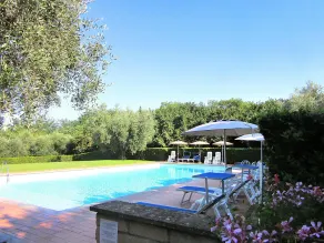 Montecasciano - Lavanda - Image 4
