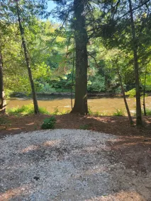 Bings Bearadise Cabin 35 min. from Pictured Rocks on the Manistique River - Image 5