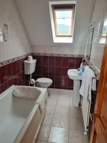 De lujo de 4 estrellas buhardilla cabaña en Cloghane península de Dingle - Image 4