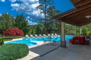 Luxury Hilltop Villa - 30.000 sqm Secular Park - Large Swimming Pool - Image 3