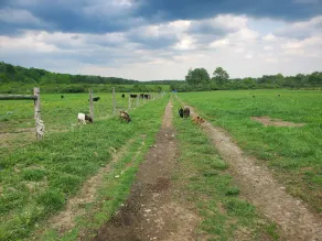 The Farm at Grand River - Image 5
