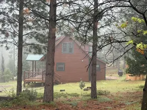 Owl Moon Cabin - Rare jewel of a cabin located inside Yosemite National Park - Image 4