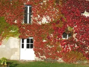 Typisches Landhaus - Ouzouer sur trézée - Image 3