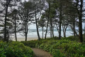 Mermaid's Rest  Oceanfront A Frame  Pet Friendly - Image 4