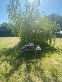 Bury - Lodge - Sleeps 2 - Parking - Image 3
