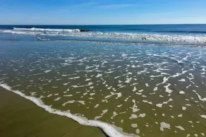 Schönes Oststrand-Häuschen mit Pool - Image 5