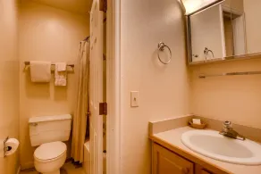 View Of Mt Crested Butte- 1 Br Condo - Image 5