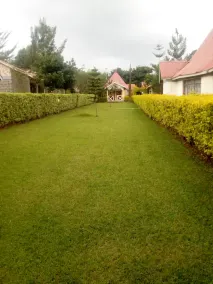 Le Voyage Resort - Image 5