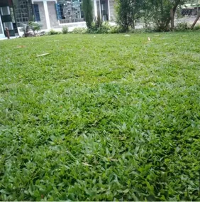 Annabelle Guest House - Image 5