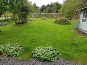 Studio cottage - Image 5