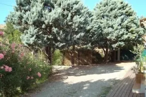 Holidays in the center of Corsica - Image 5