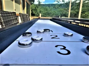 Modern Cabin at the End of the Road, SLIDE, SHUFFLEBOARD! - Image 2
