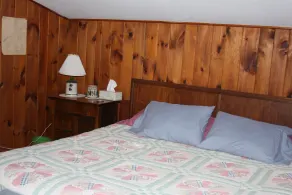 Adirondack Lake House- fish, swim, bike, hike, paddle.....Relax - Image 3