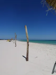 Cap Bon, Kelibia apartment S+2 only 2 minutes from the beautiful beach El Fatha - Image 5