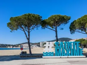 Les Mimosas - Image 5