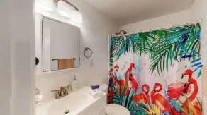 The Flamingo - Image 5