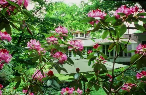 Exceptional Property, Saline Pool, Waterfall, Views - Image 4
